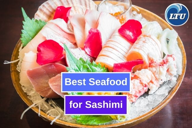 Choosing the Best Seafood for Your Sashimi Delight
